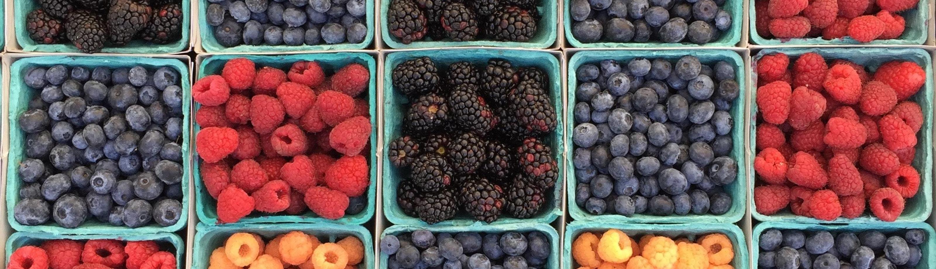 Wat is kwaliteit fruit