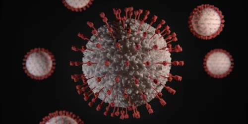 Corona virus 2